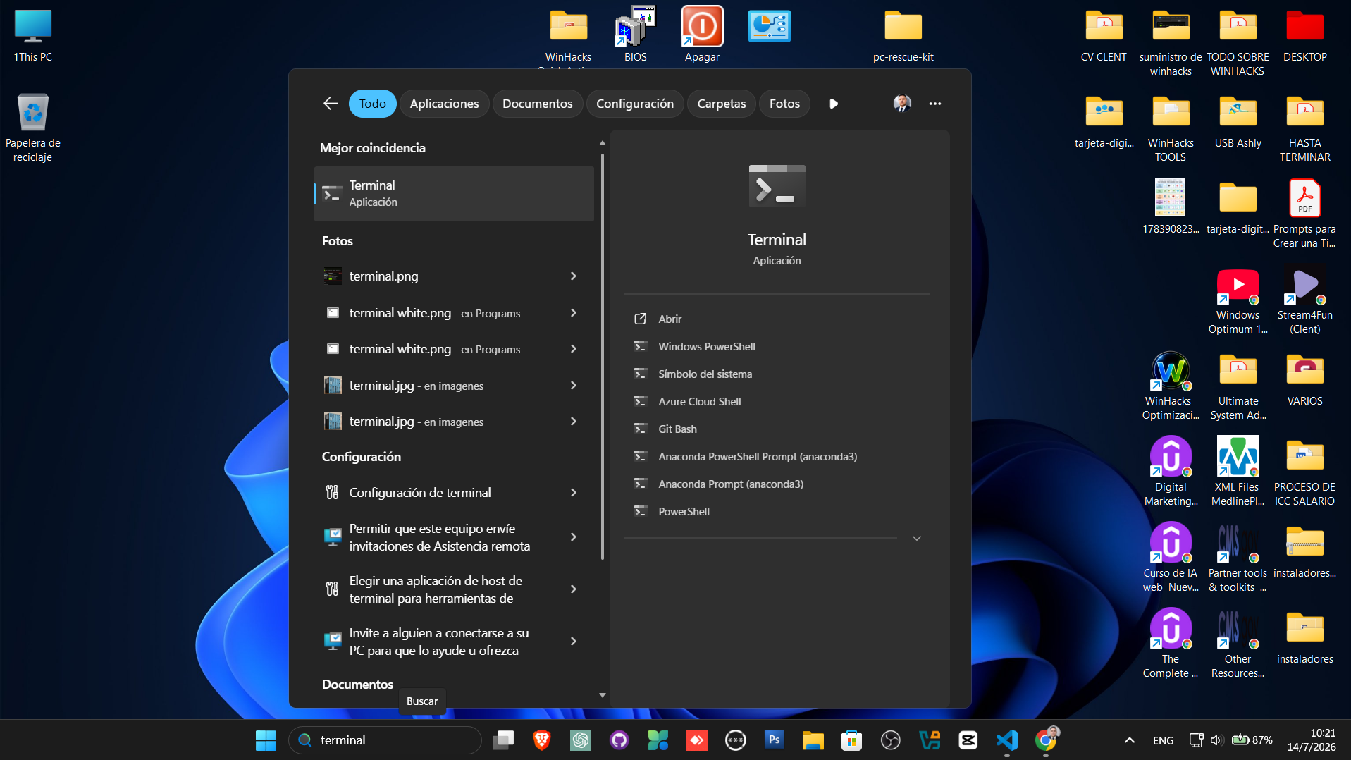 Windows Search mostrando aplicaciones y archivos locales sin sugerencias web