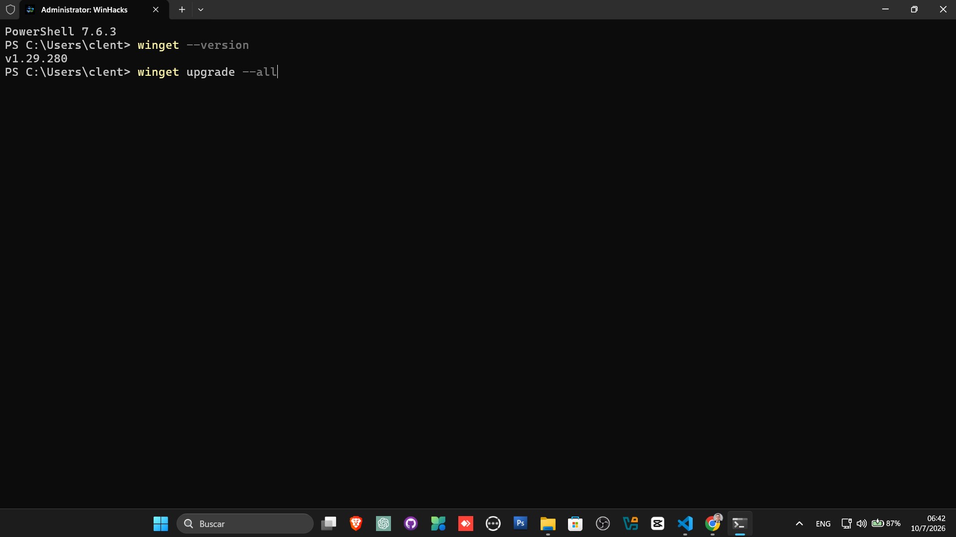 Windows Terminal abierto.